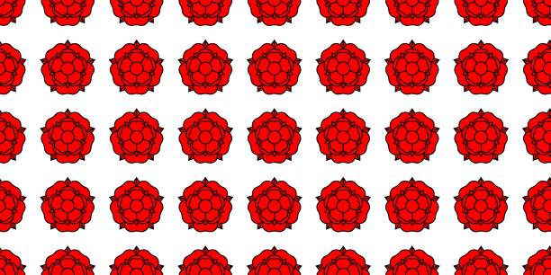 Lancaster rose stock photos pictures royalty