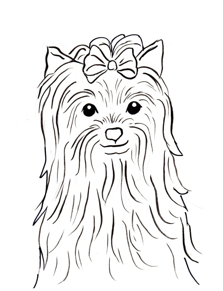 Yorkshire terrier coloring page