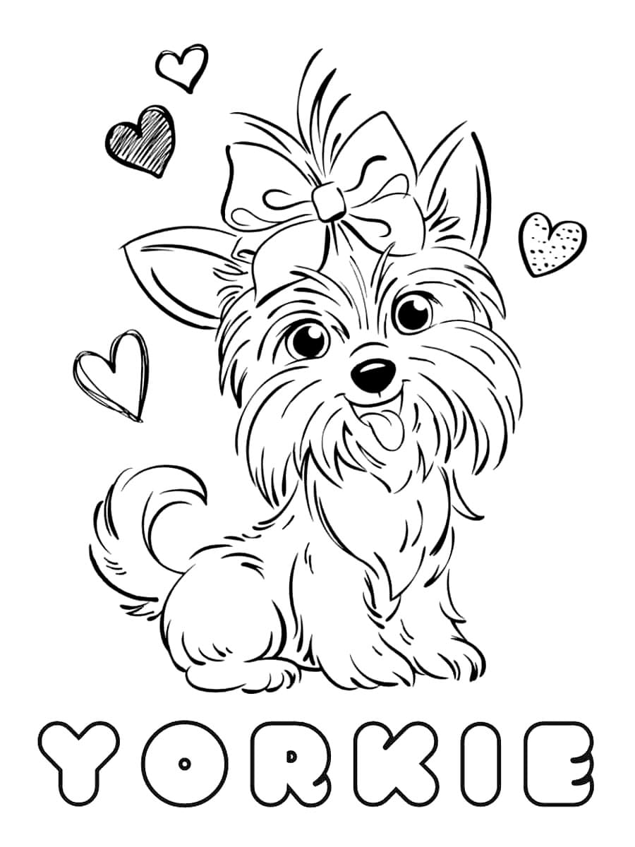 Yorkie coloring pages