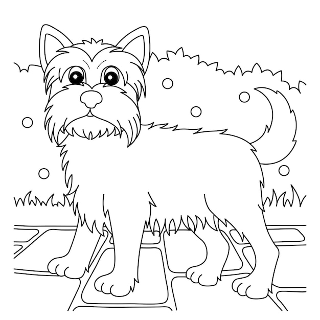 Premium vector yorkshire terrier dog coloring page for kids