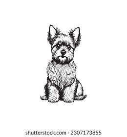 Dog yorkshire terrier standing coloring book stock vector royalty free