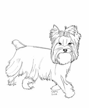 Adorable yorkshire terrier puppy coloring pages