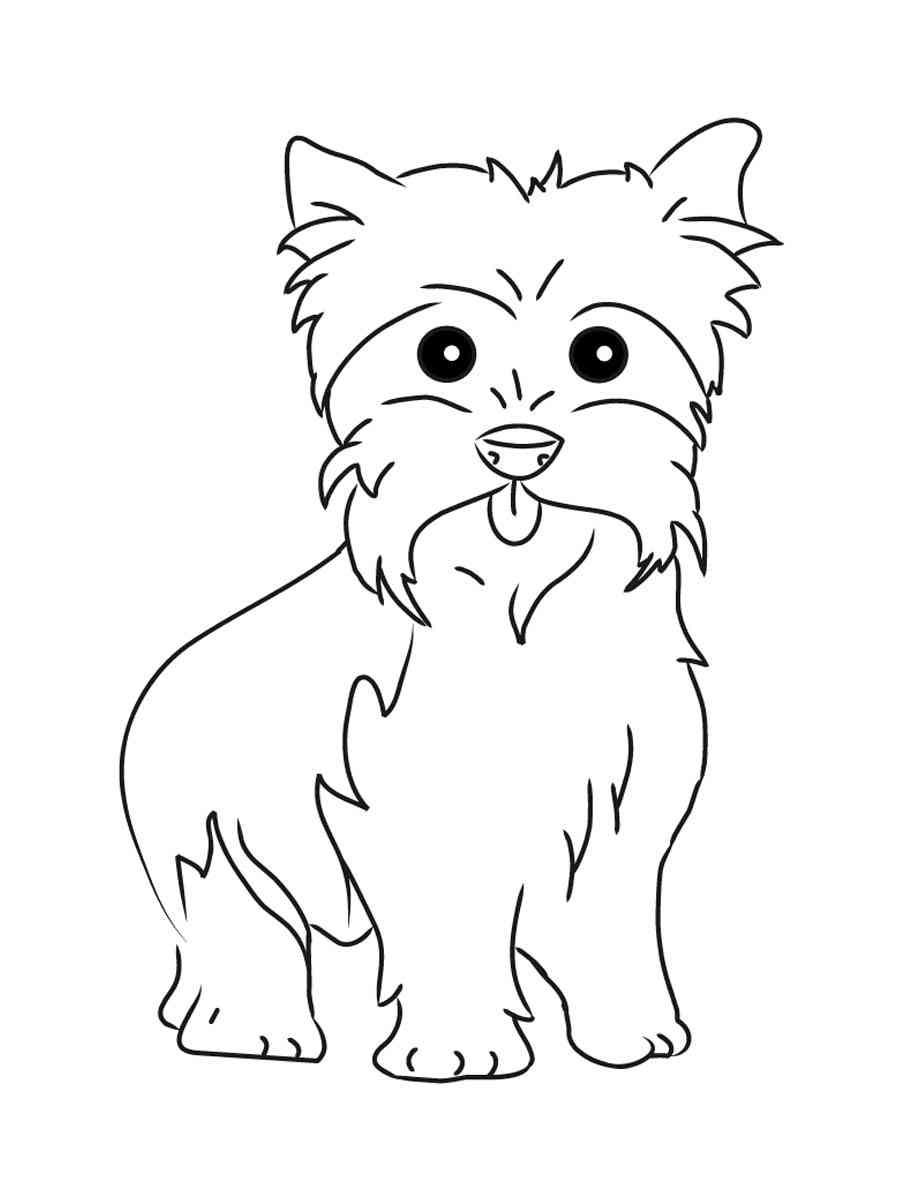 Yorkshire terrier coloring pages
