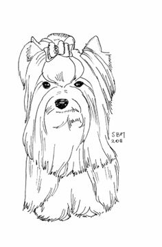 Yorkshire terrier coloring pages puppy coloring pages yorkie painting dog coloring page