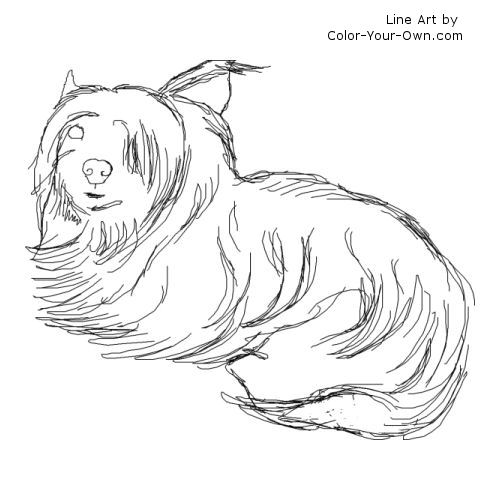 Yorkshire terrier coloring page