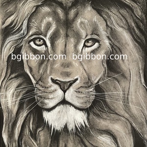Jim morrison young lion charcoal and pencil portrait the doors realism