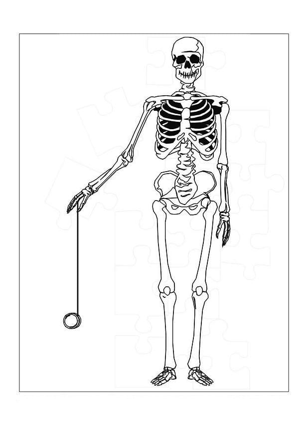Skeleton is playing yoyo coloring page