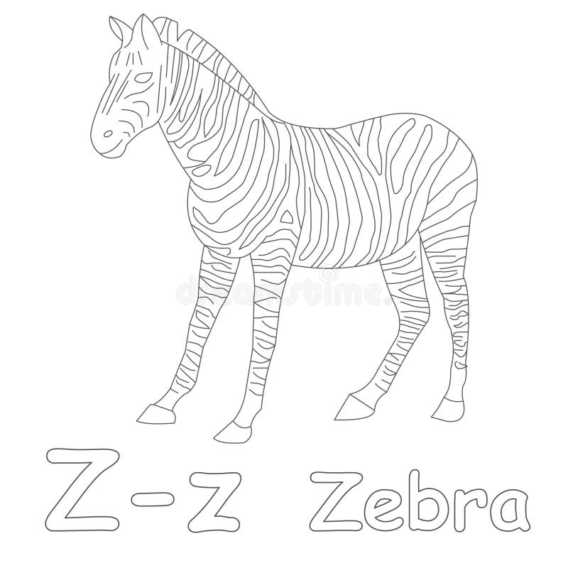 Z for zebra coloring page stock illustration illustration of teacher
