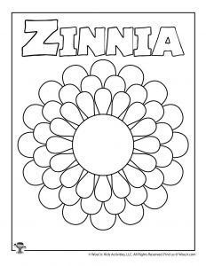 Letter z worksheets crafts woo jr kids activities childrens publishing