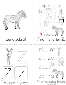 Letter z books
