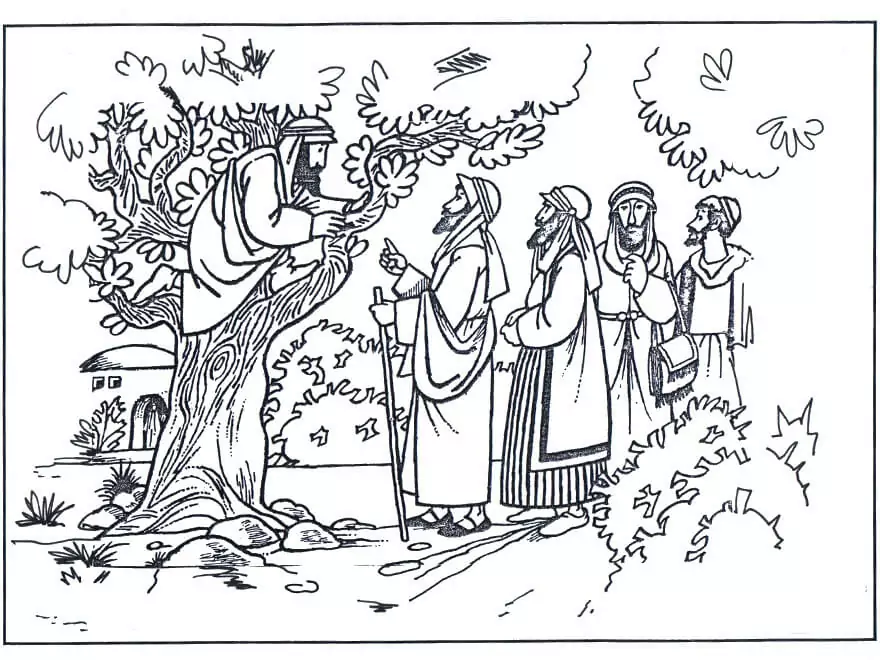 Zacchaeus coloring page coloring page