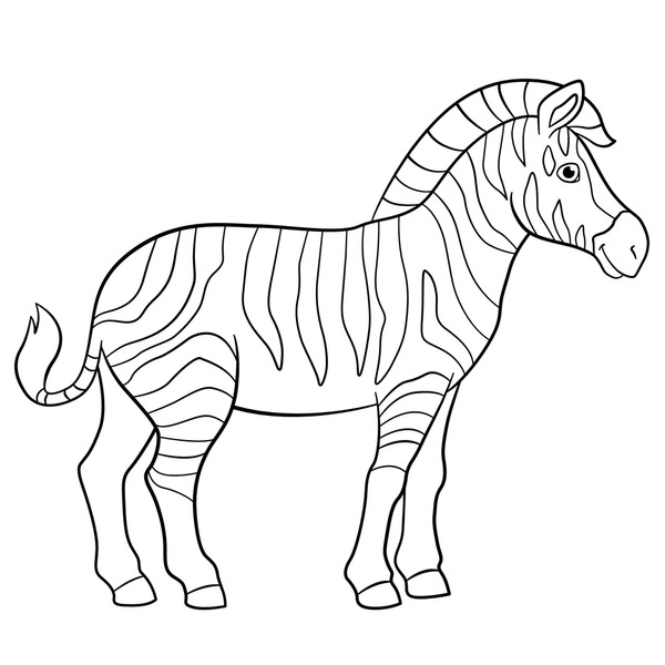 Thousand cartoon zebra colouring royalty