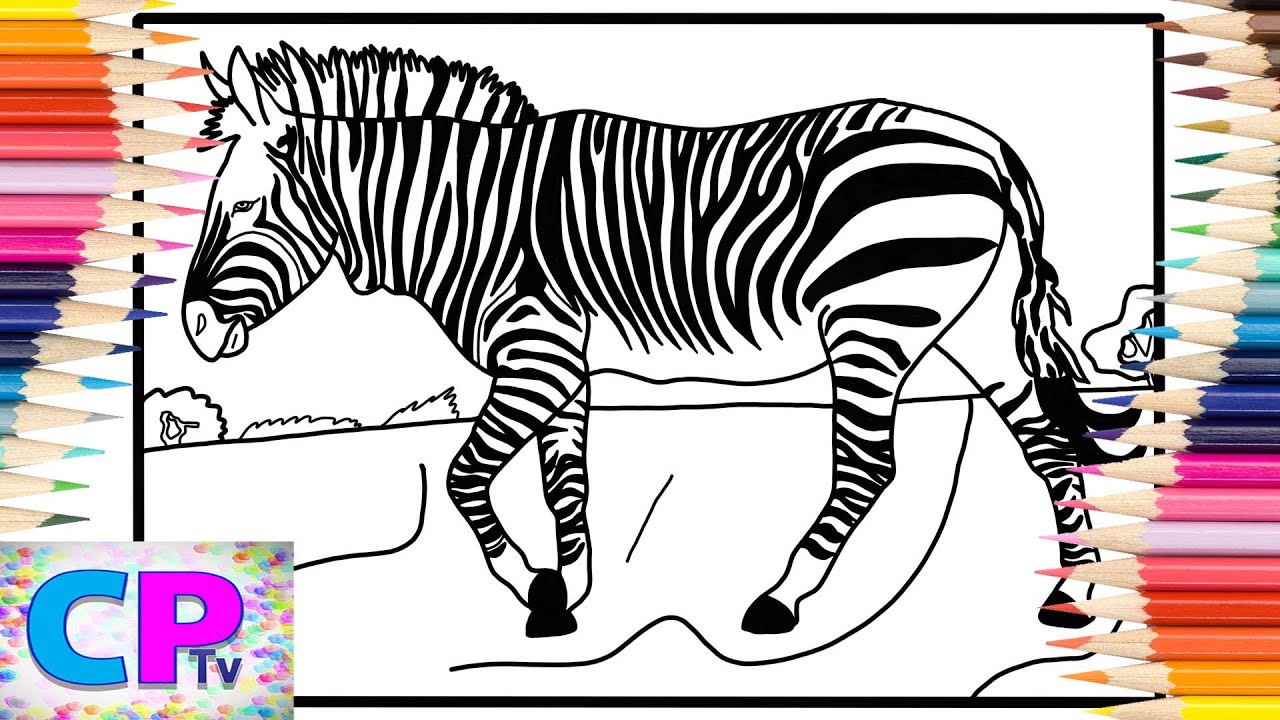 Top free printable zebra coloring pages online