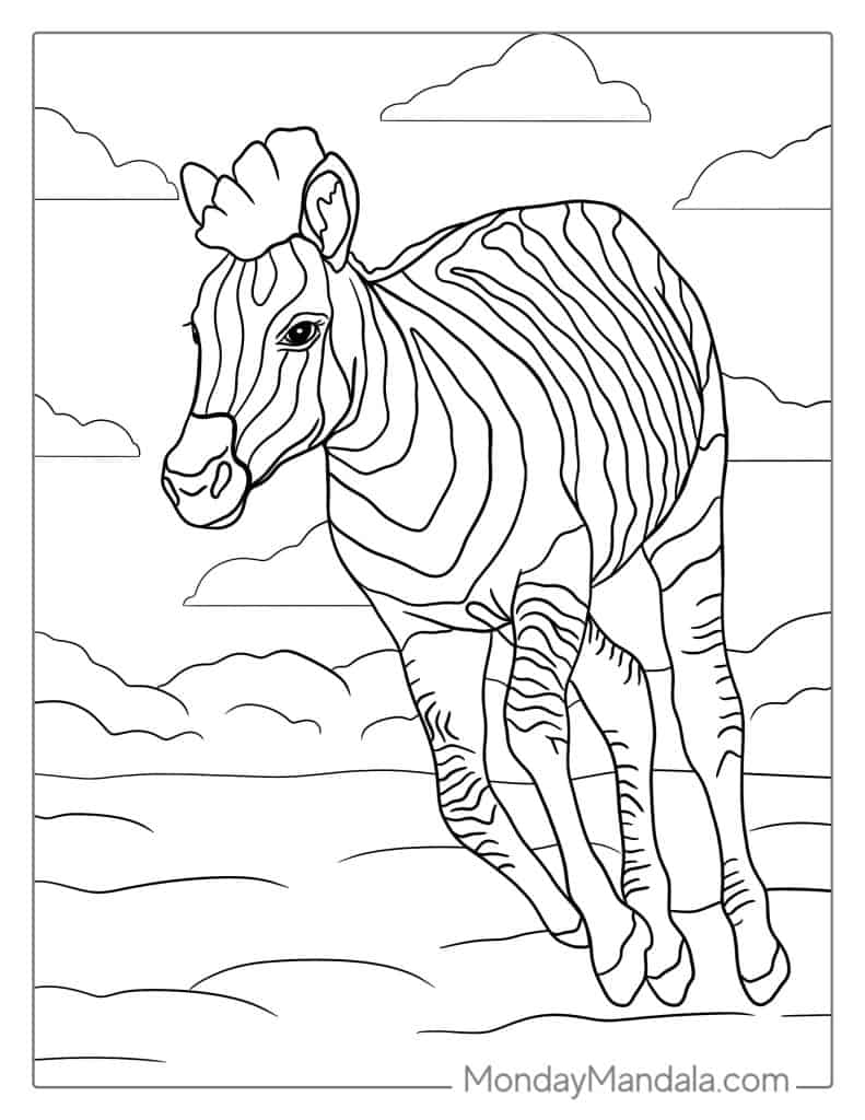 Zebra coloring pages free pdf printables