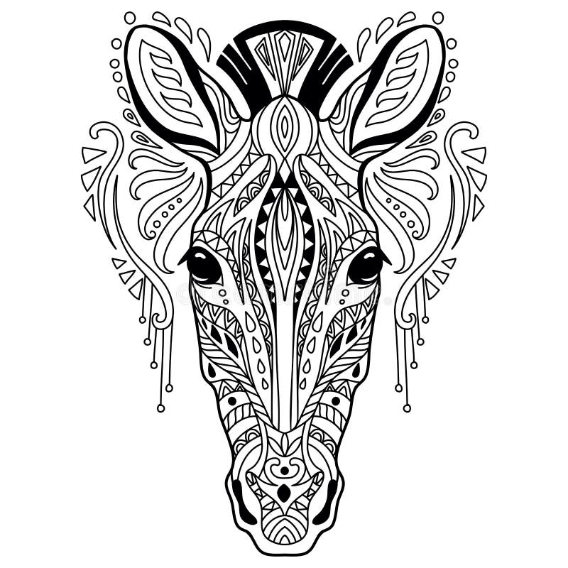 Tangle zebra coloring book page for adult stock vector
