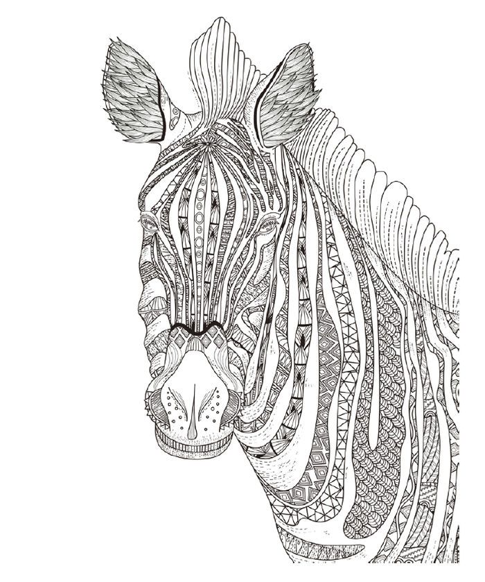 Zebra head adult coloring pages zebra coloring pages animal coloring pages horse coloring pages