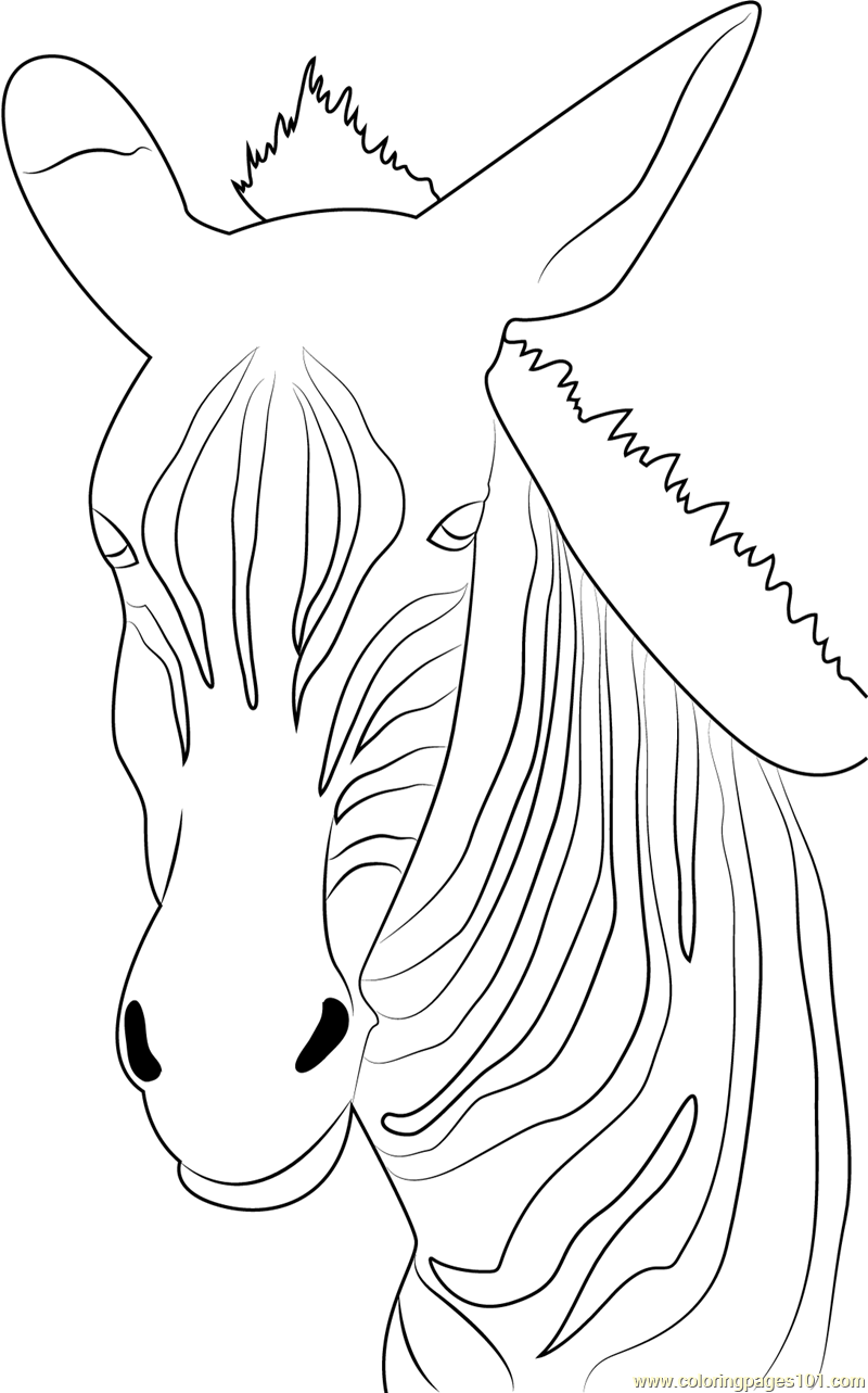 Angry zebra coloring page for kids