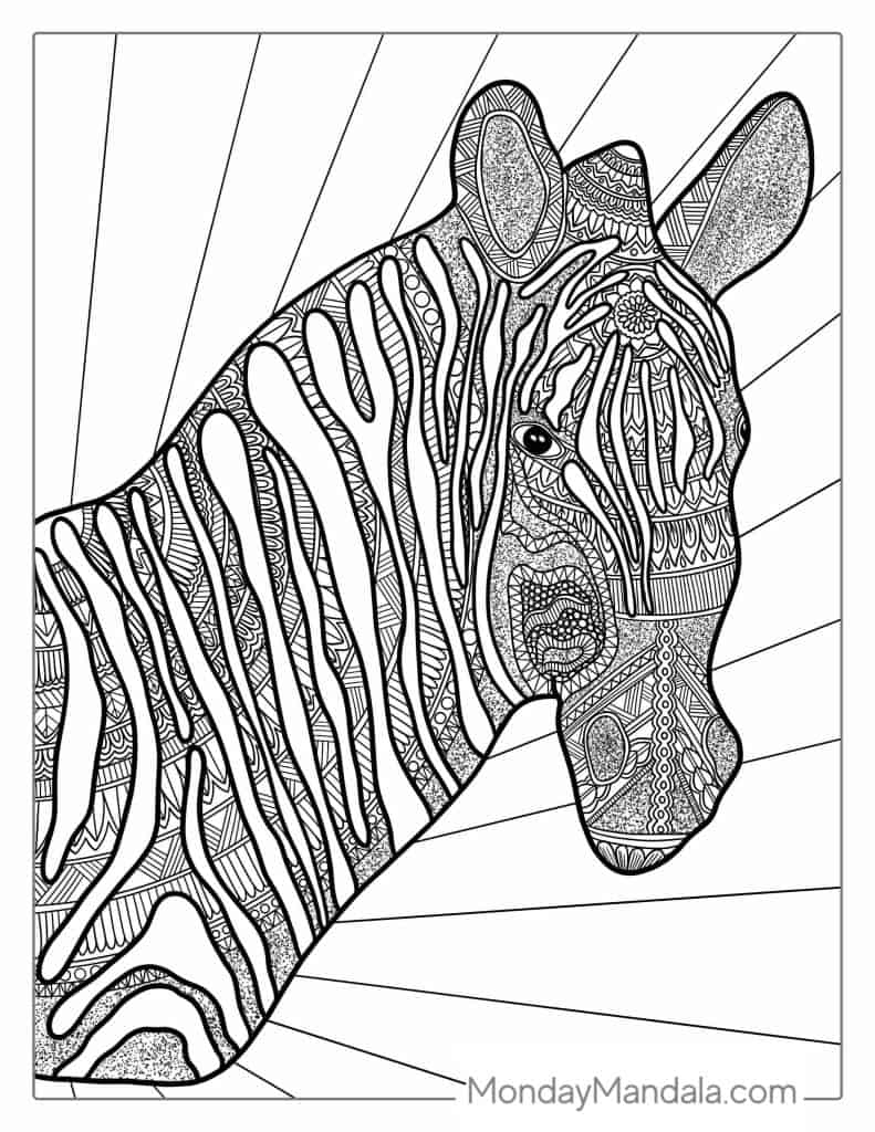 Zebra coloring pages free pdf printables