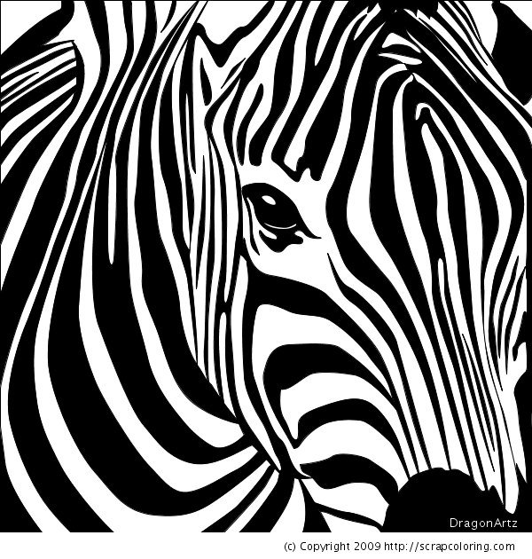 Zebra head coloring page