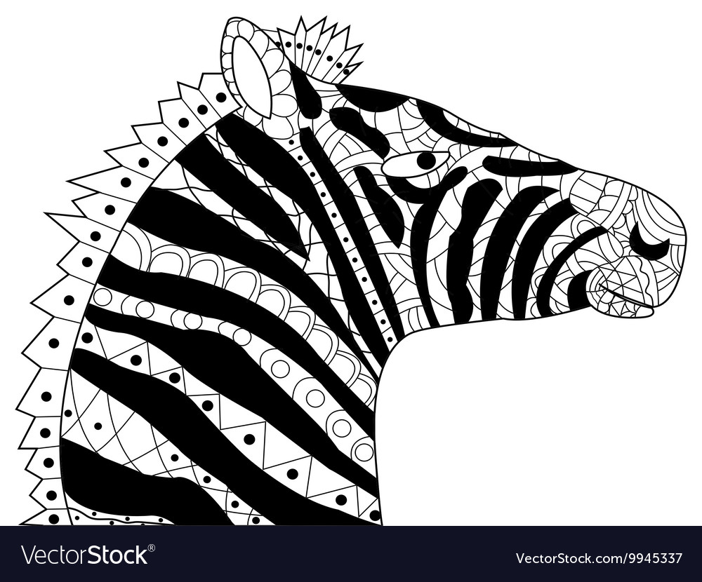 Head zebra coloring for adults royalty free vector image