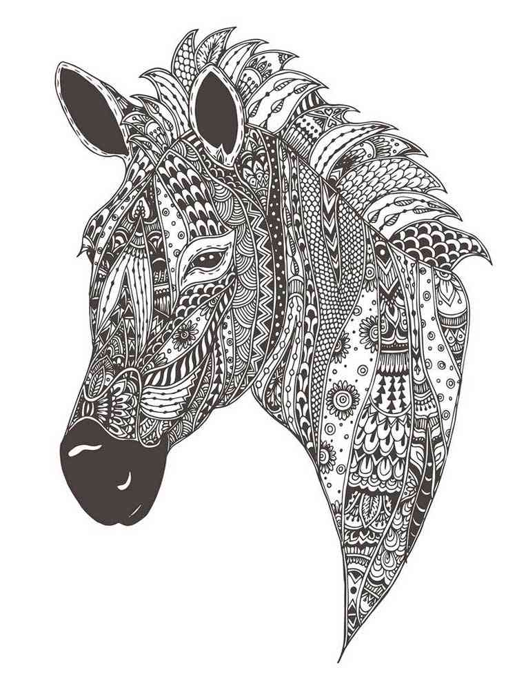 Zebra coloring pages for adults