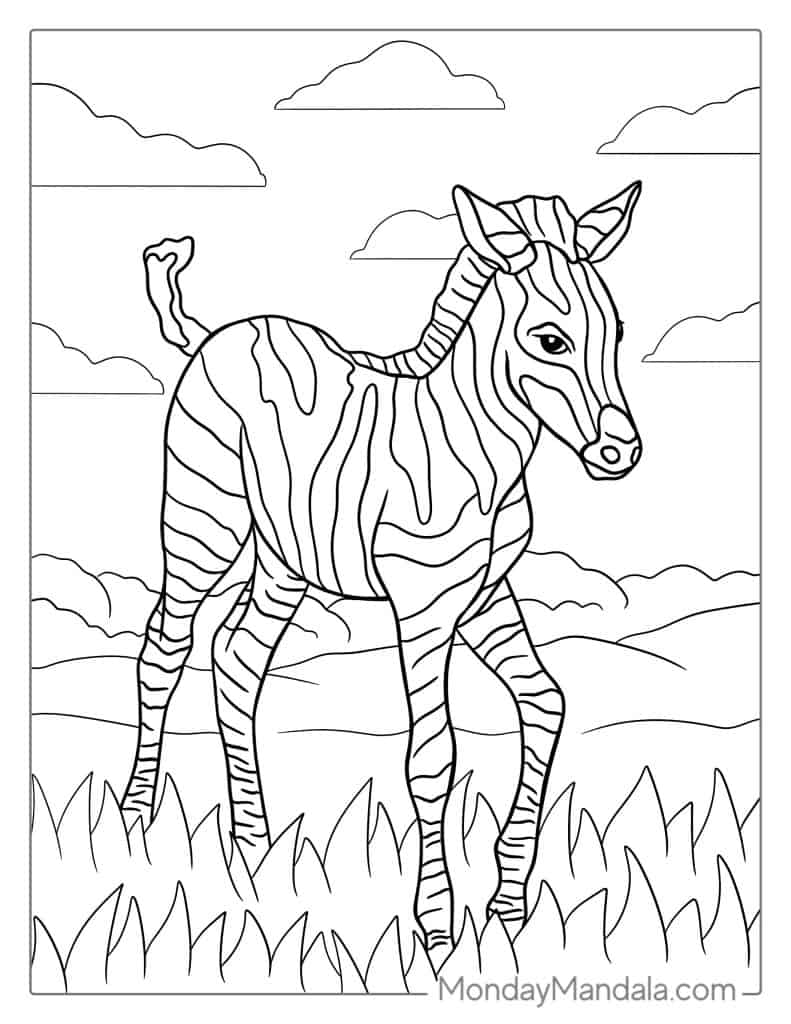Zebra coloring pages free pdf printables
