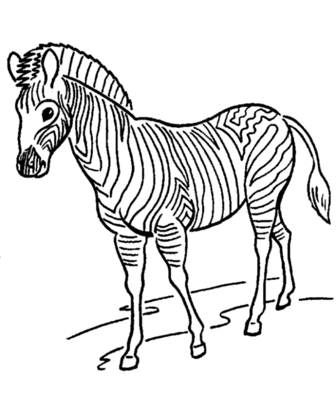 Free printable zebra coloring pages for kids