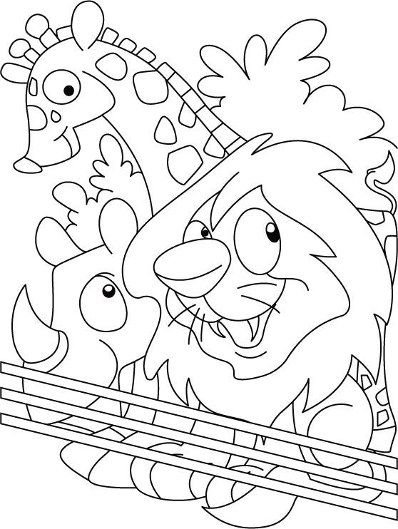 Zoo coloring page download free zoo coloring page for kids best coloring pages zoo animal coloring pages zoo coloring pages lion coloring pages