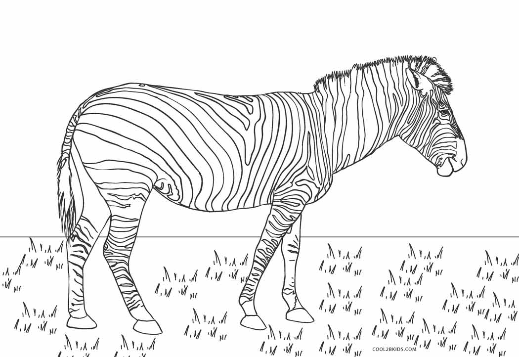 Free printable zebra coloring pages for kids