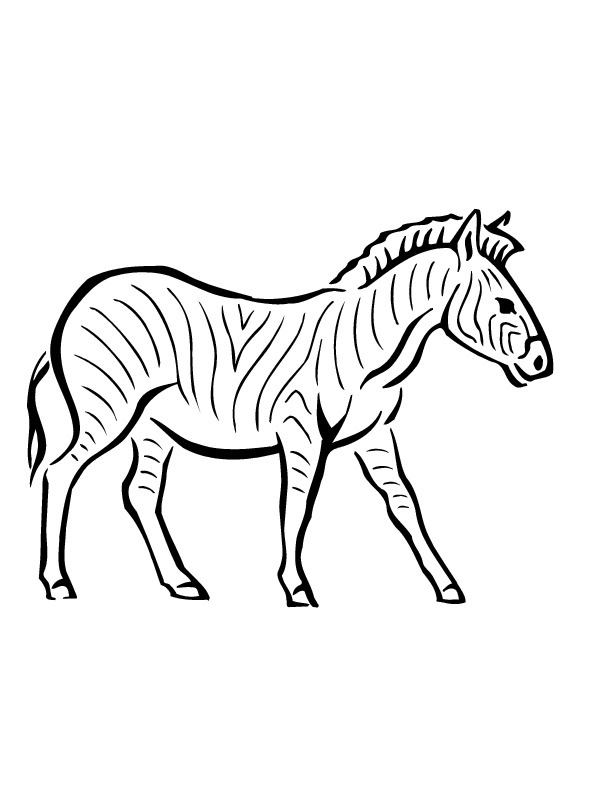 Free printable zebra coloring pages for kids zebra coloring pages horse coloring pages animal coloring pages