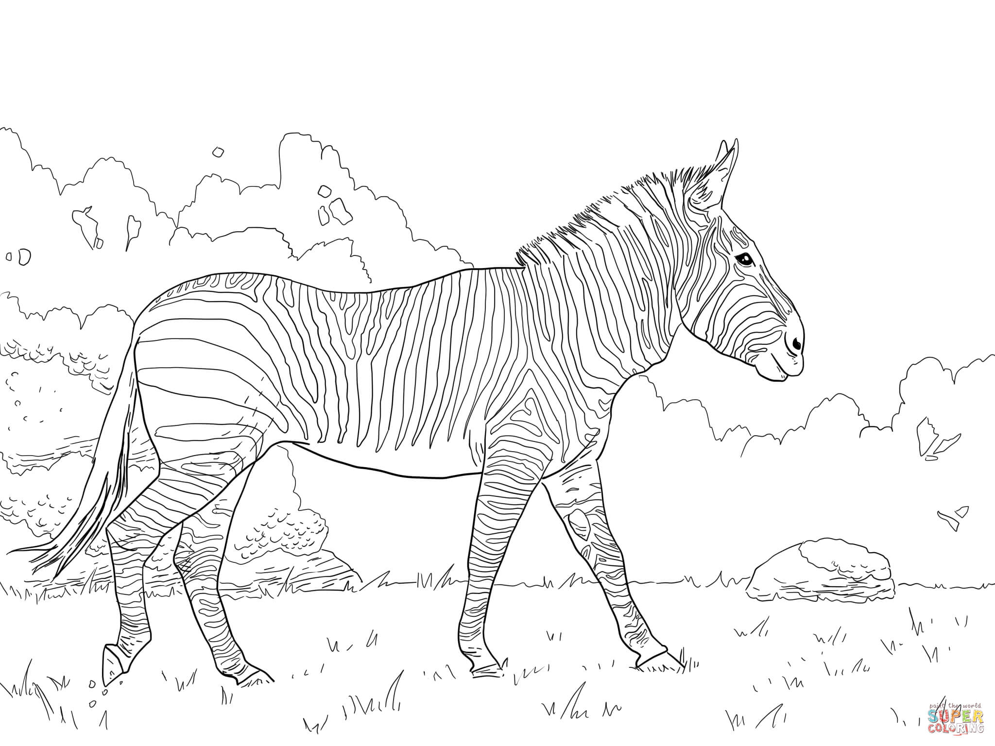 Hartmans mountain zebra coloring page free printable coloring pages