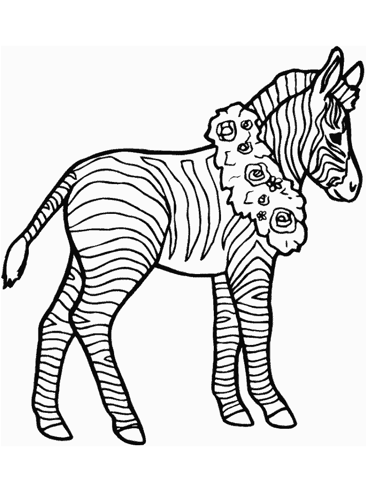 Free printable zebra coloring pages for kids