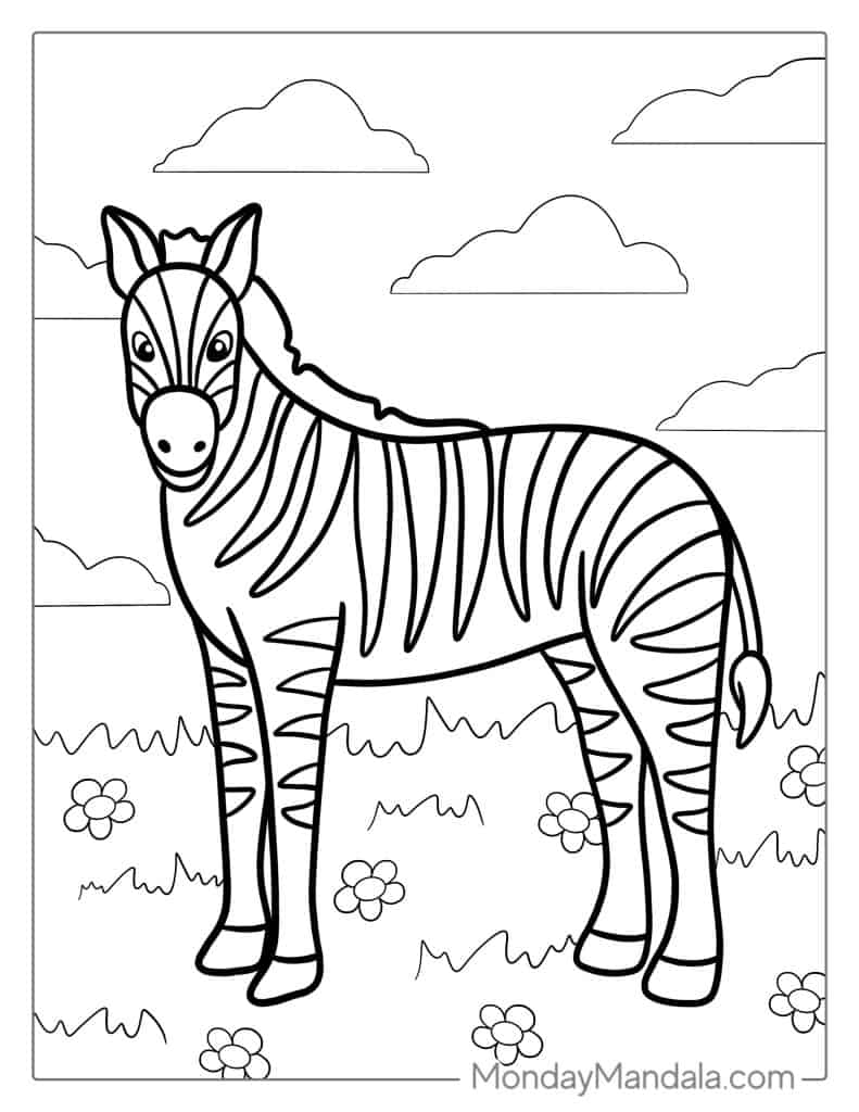 Zebra coloring pages free pdf printables