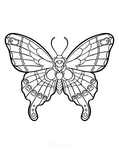 Free butterfly coloring pages for kids adults