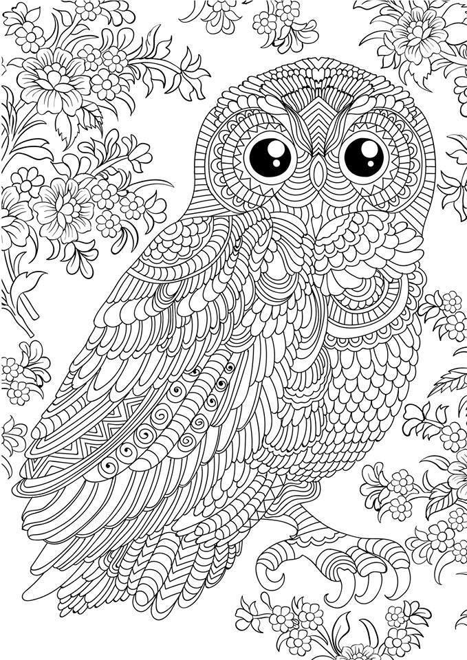 Pin by lisa on eulen basteln owl coloring pages animal coloring pages adult coloring pages