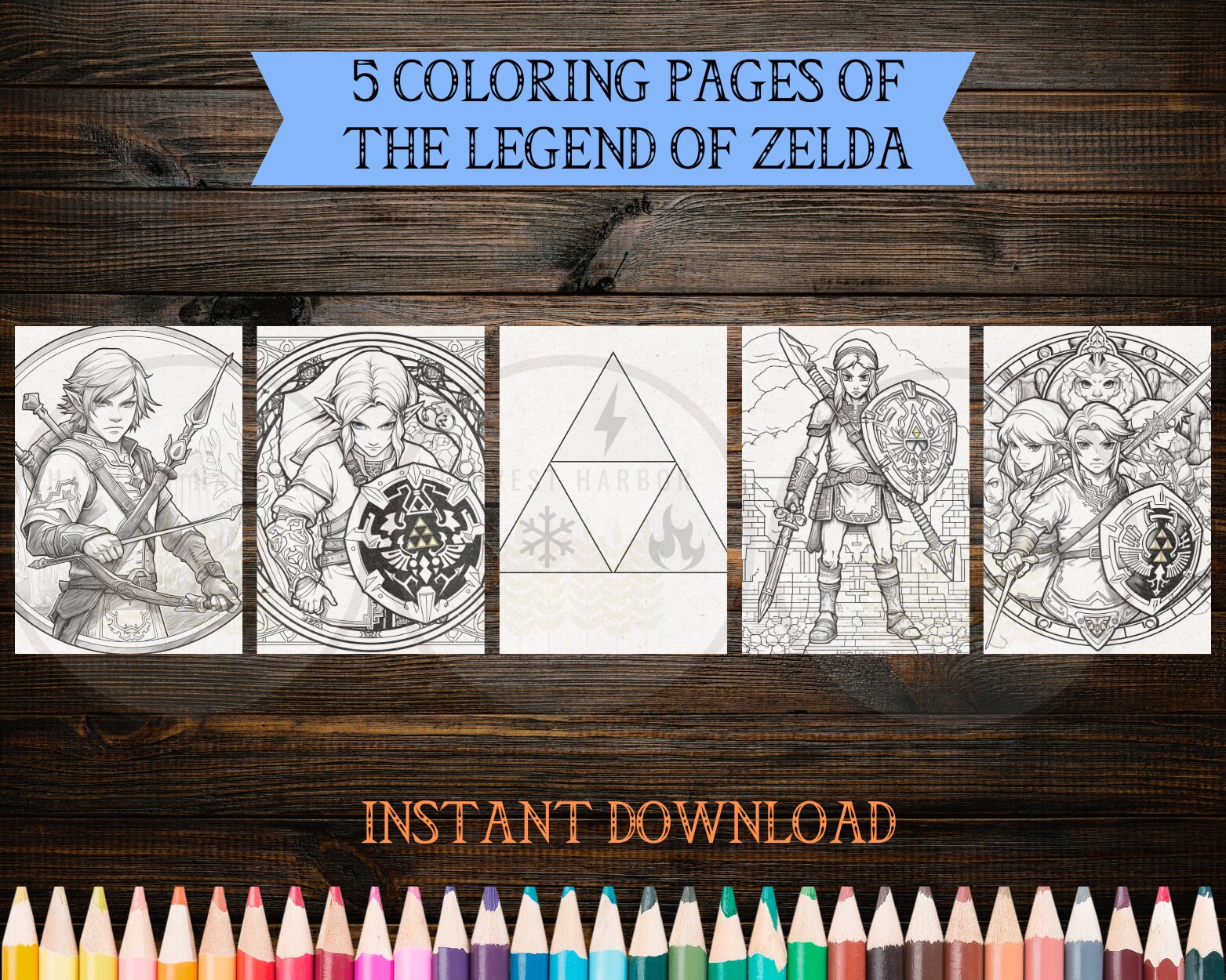 Zelda coloring book