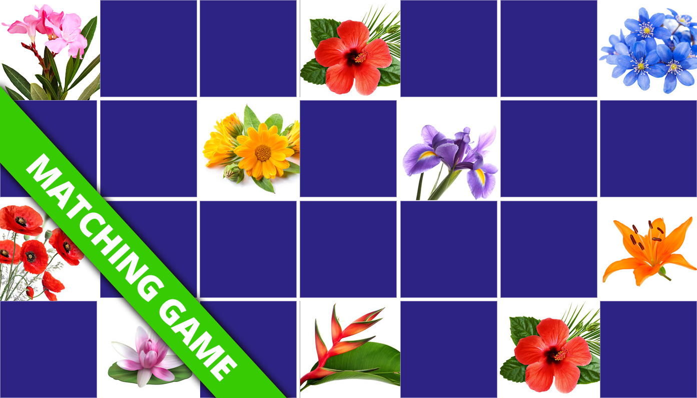 Play matching game for seniors
