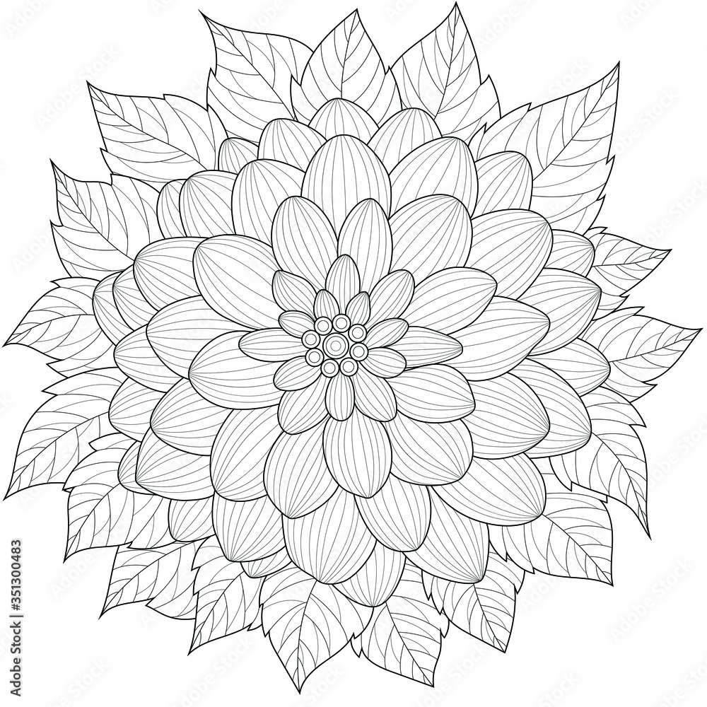 Dahlia flowercoloring book antistress for children and adults illustration isolated on white backgroundzen