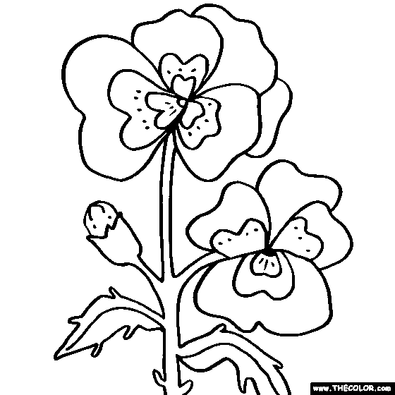 Flower coloring pages color flowers online
