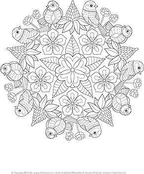 Woodland mandalas coloring book design originals nature