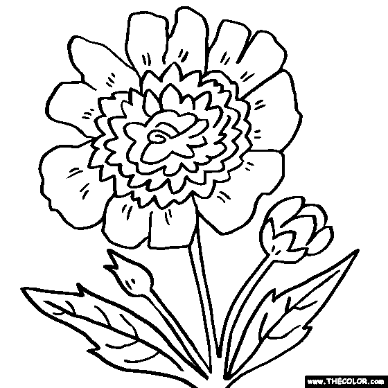 Flower coloring pages color flowers online