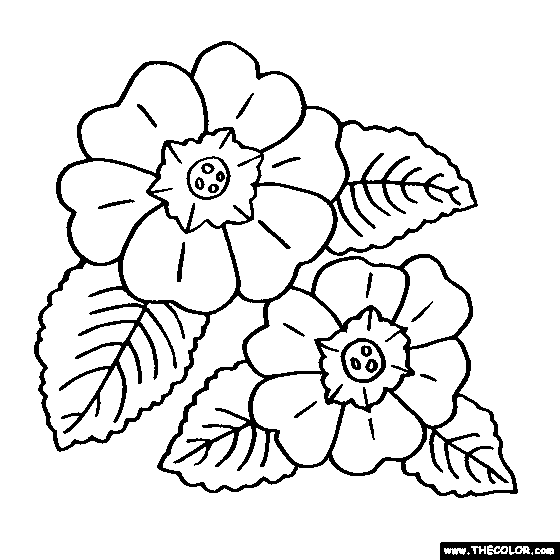 Flower coloring pages color flowers online