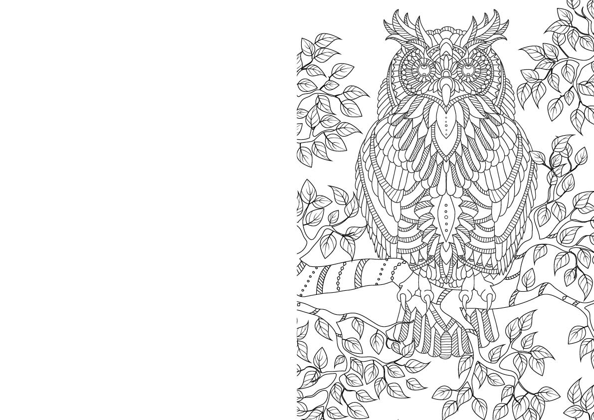 Zen colouring â issue the seasonal collection