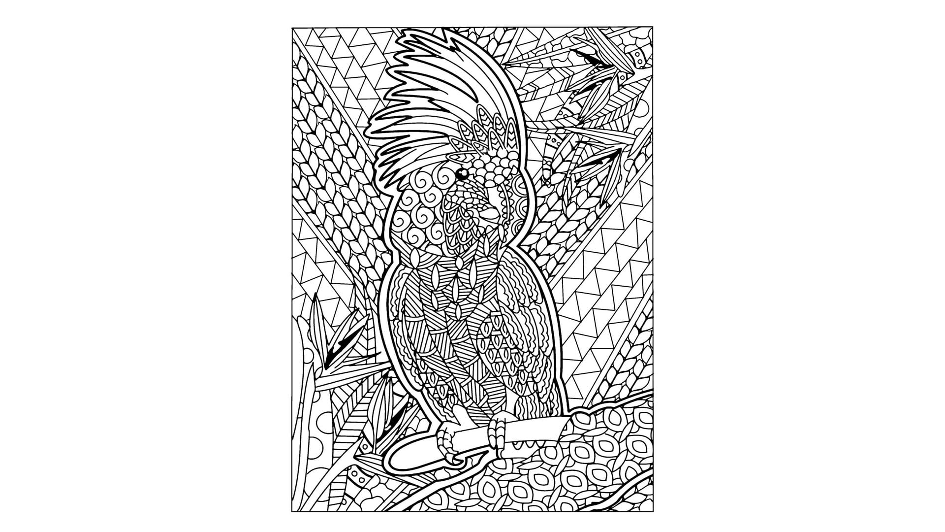 Give printable zen birds adult coloring pages by premiumpack