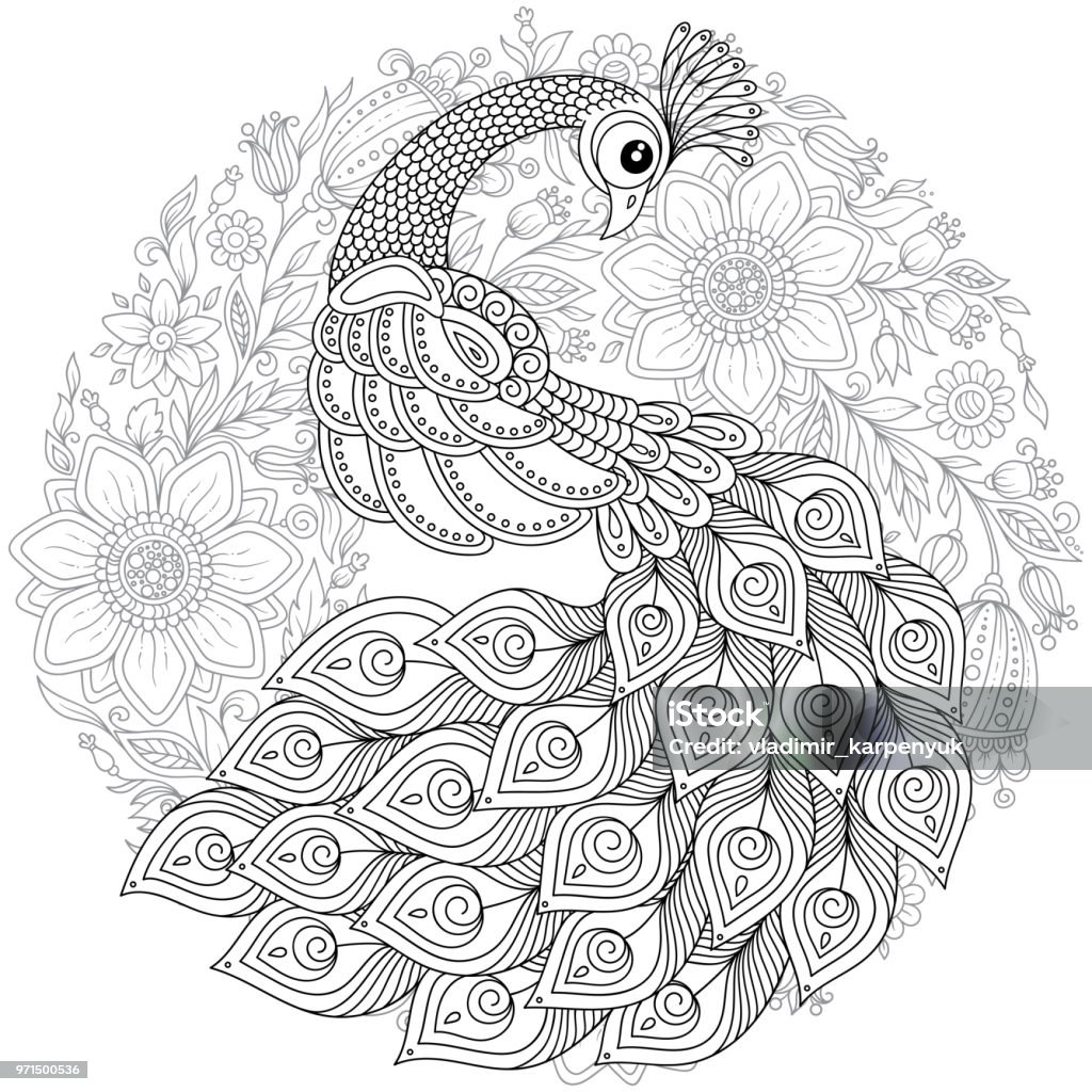 Peacock in zen style adult antistress coloring page stock illustration