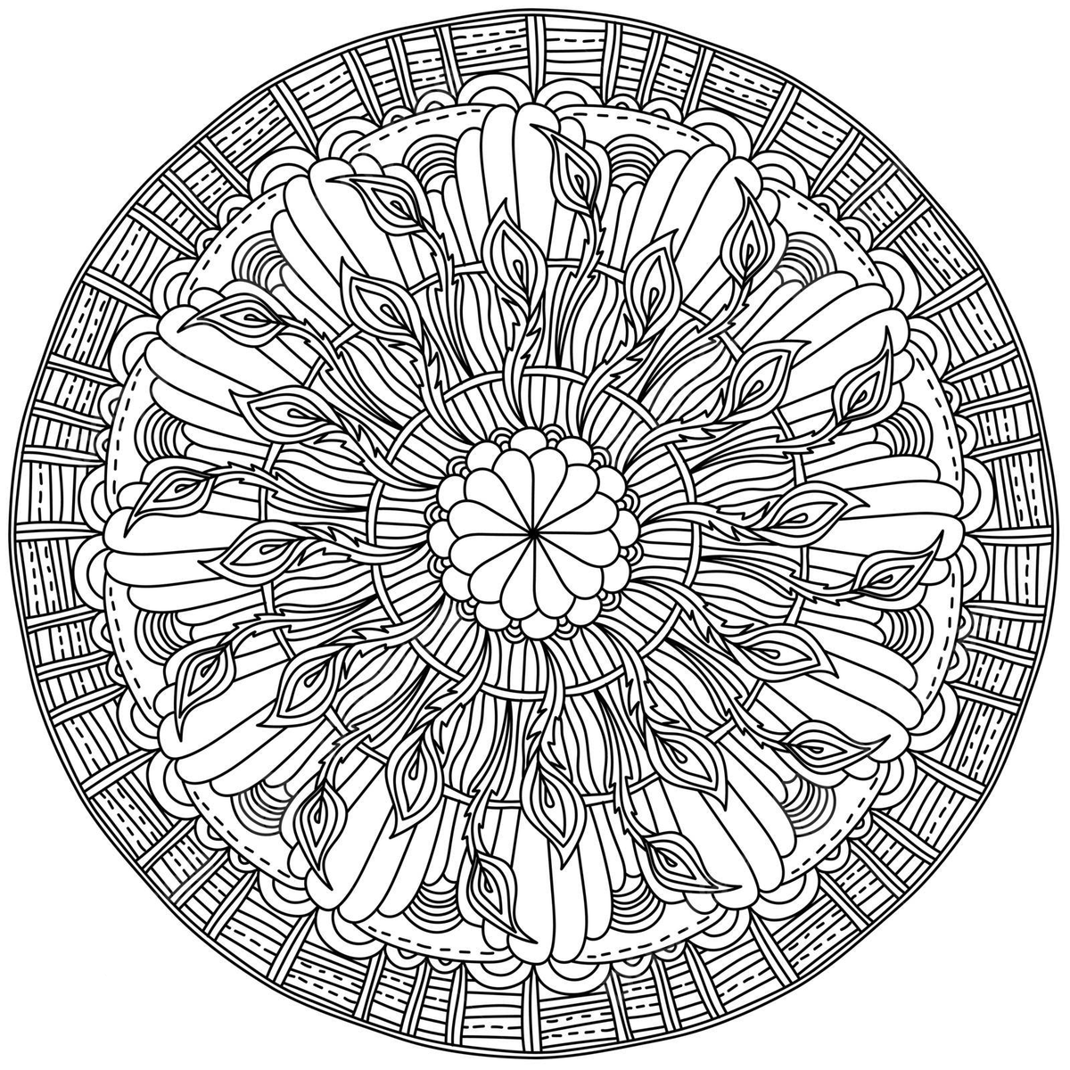 Zen coloring page featuring peacock feather mandala and striped patterns enhanced by natural elements vector feather drawing man drawing ring drawing png and vector with transparent background for free download