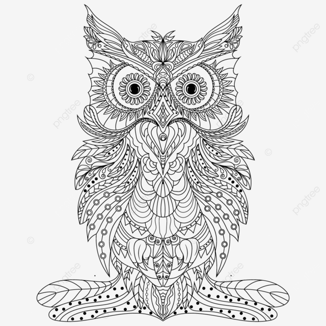 Owl zentangle coloring page vector owl drawing ring drawing color drawing png and vector with transparent background for free download