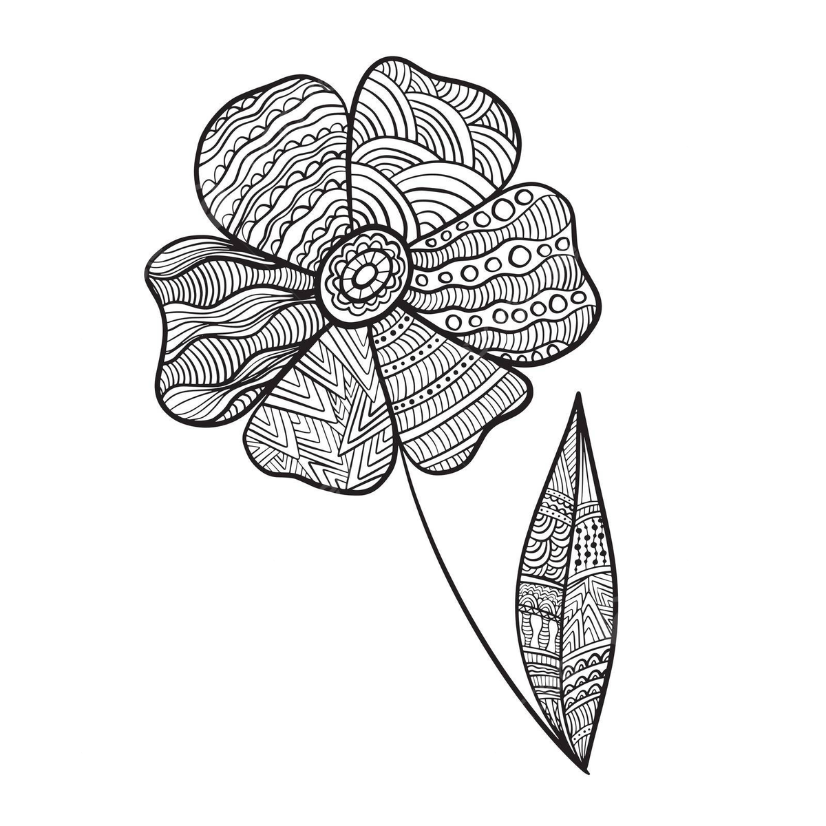 Antistress flower coloring page for adults and children vector book print color png and vector with transparent background for free download