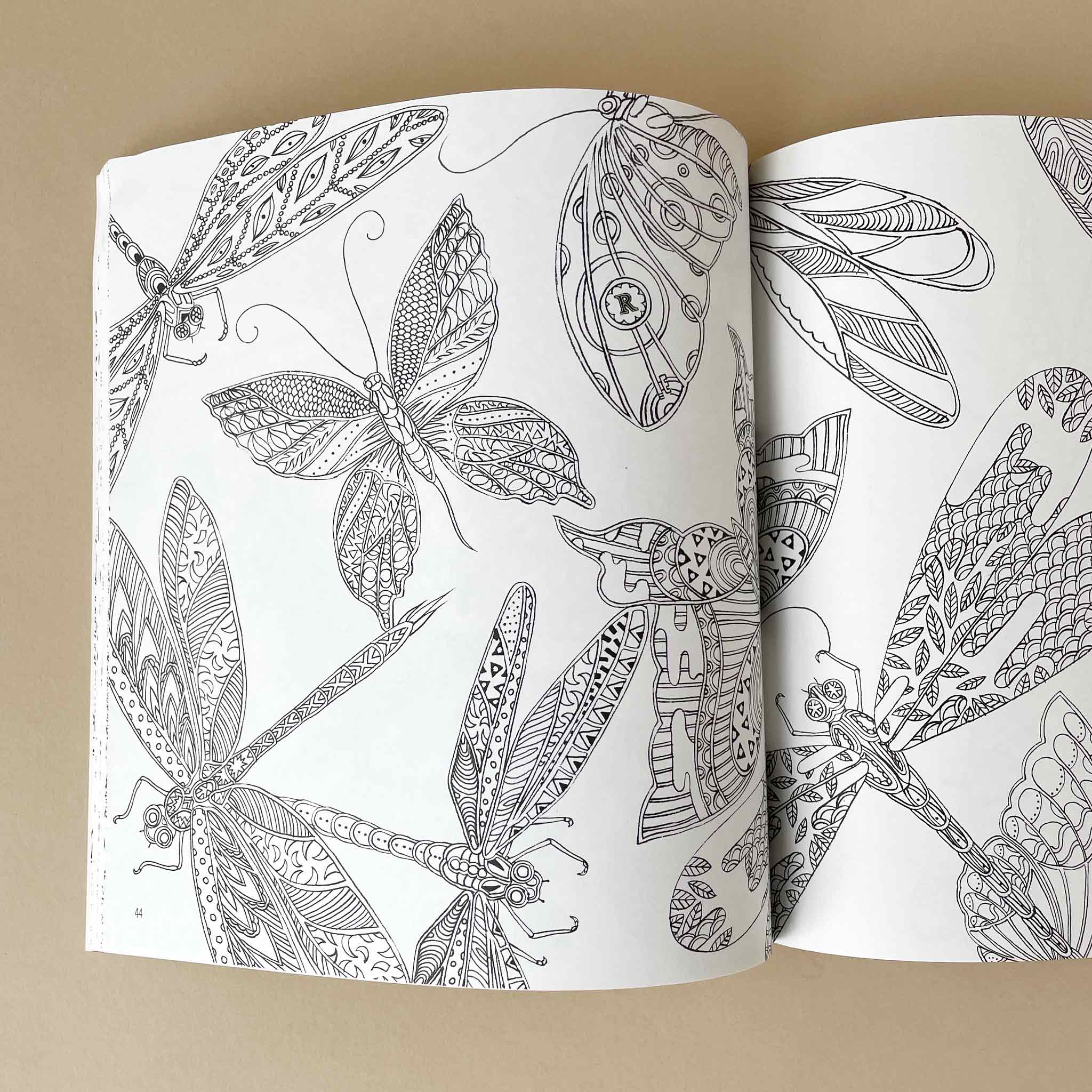 Fairies in wonderland coloring book â