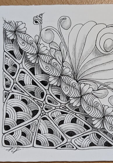 Zentangle drawing at home flower power online class kit gifts